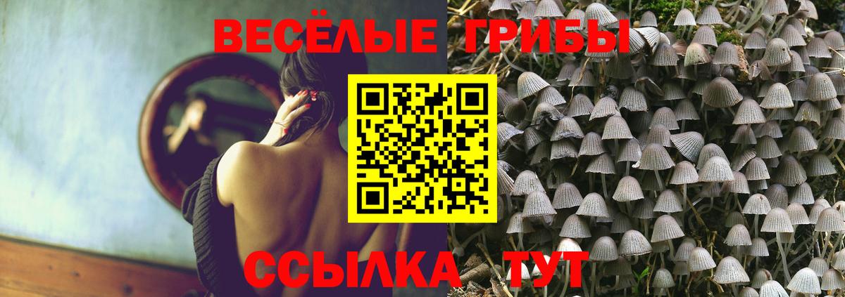 Псилоцибиновые грибы мицелий  Галлюциногенные грибы Cubensis  где можно купить   Вход с VPN  Соликамск 